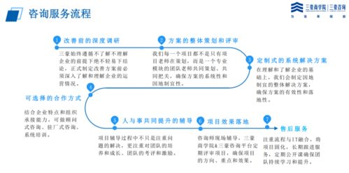 三豪咨询IPD管理体系案例二 集成产品开发（IPD）与系统集成的融合实践